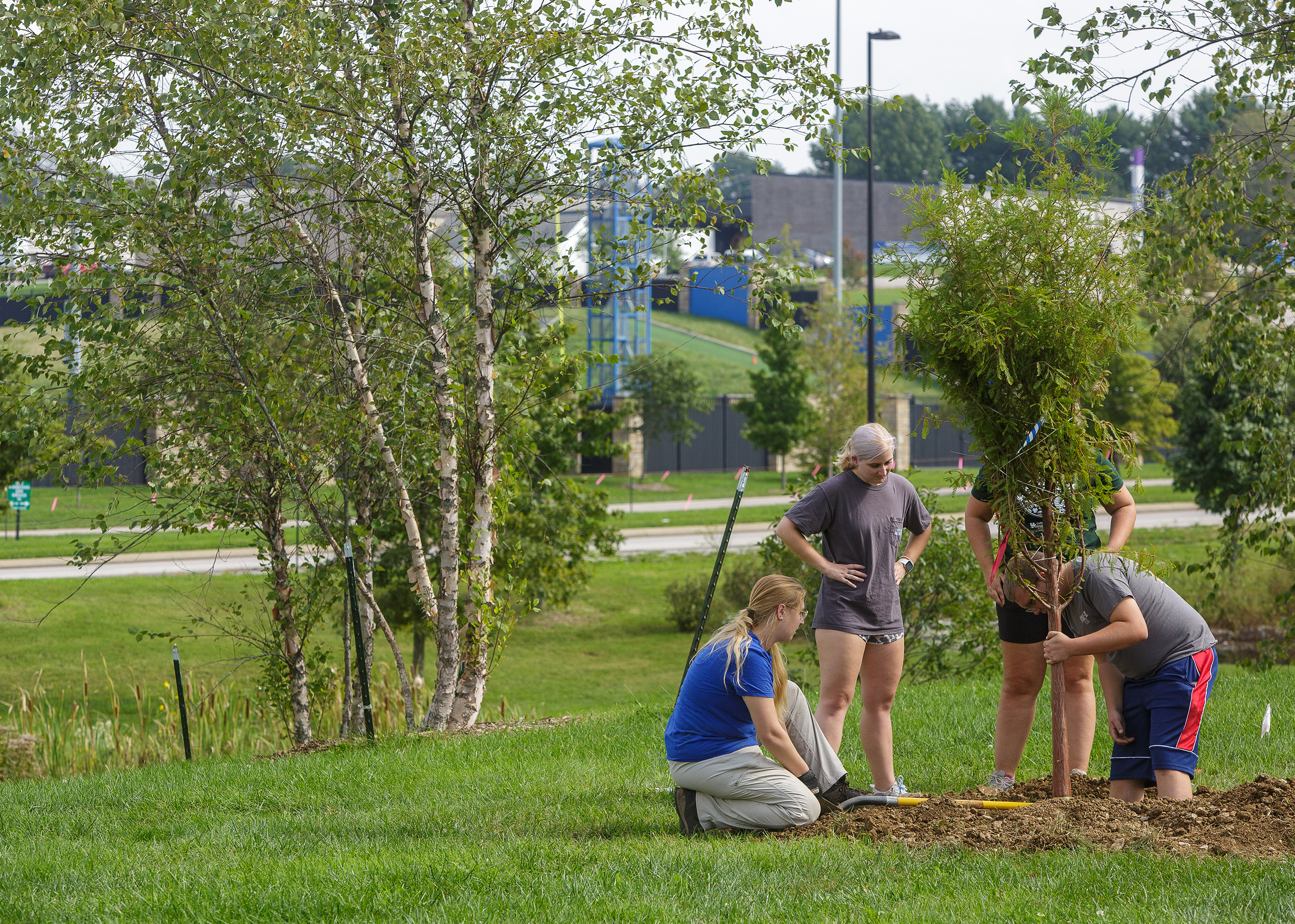 Students planting trees.