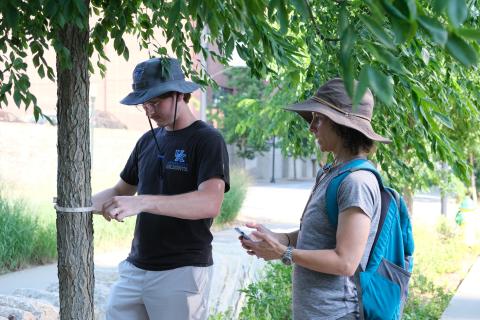 Photograph of student and faculty member taking tree measurements.